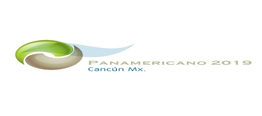 XVI CONGRESO PANAMERICANO DE MECÁNICA DE SUELOS E INGENIERÍA GEOTÉCNICA